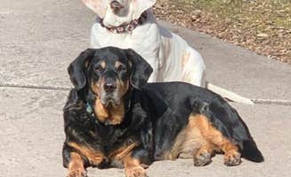 Michelle S.'s photo of camping with pets at Camp A While near New Ringgold, PA