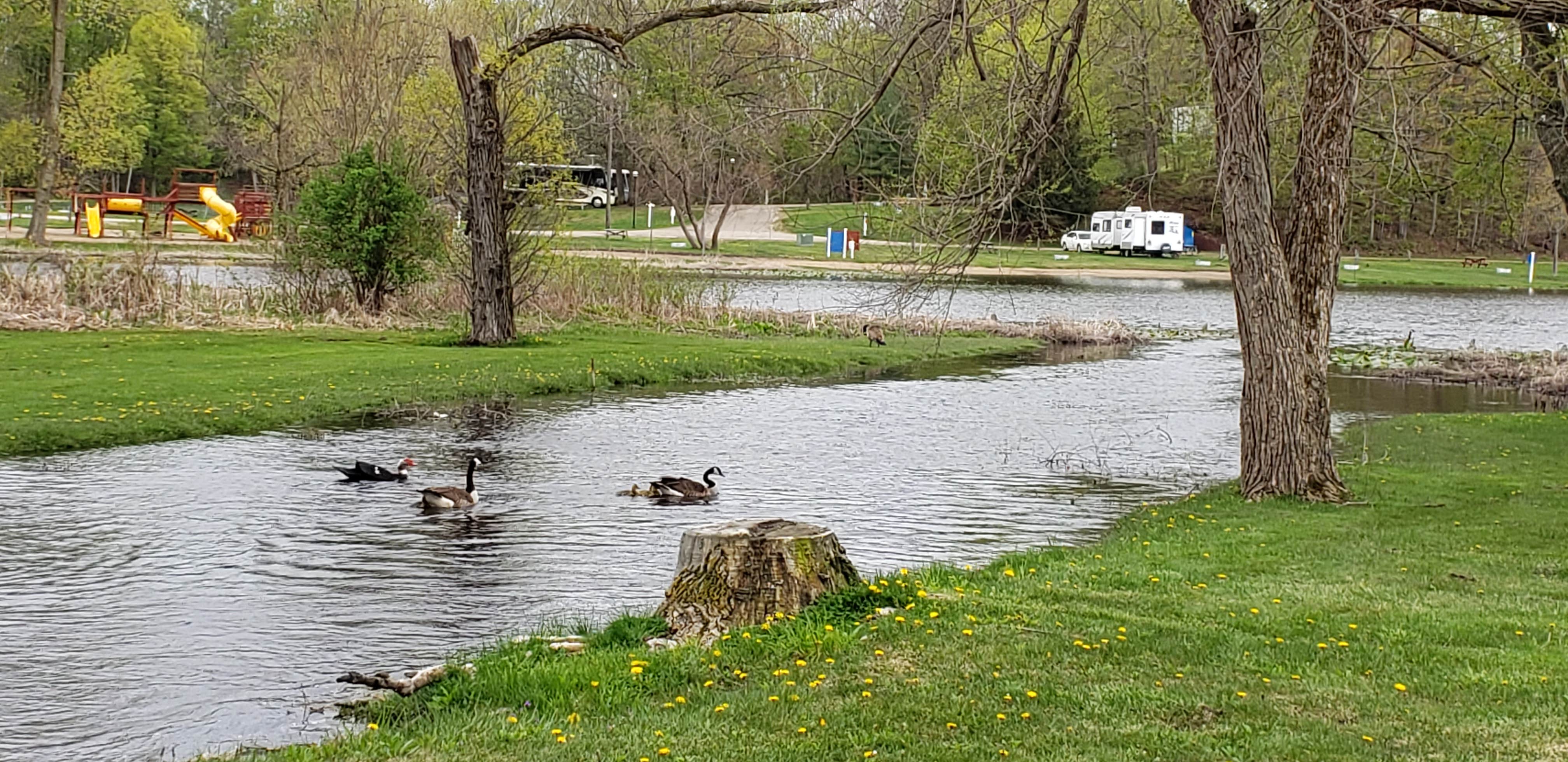 Camper submitted image from Outdoor Adventures Kalamazoo Resort - 4