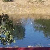 Review photo of Millerton Lake State Recreation Area by Regina P., June 28, 2019