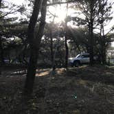 Review photo of Barview Jetty County Campground by Colby T., June 28, 2019