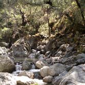 Review photo of Sunol Regional Wilderness by Erica K., June 28, 2019