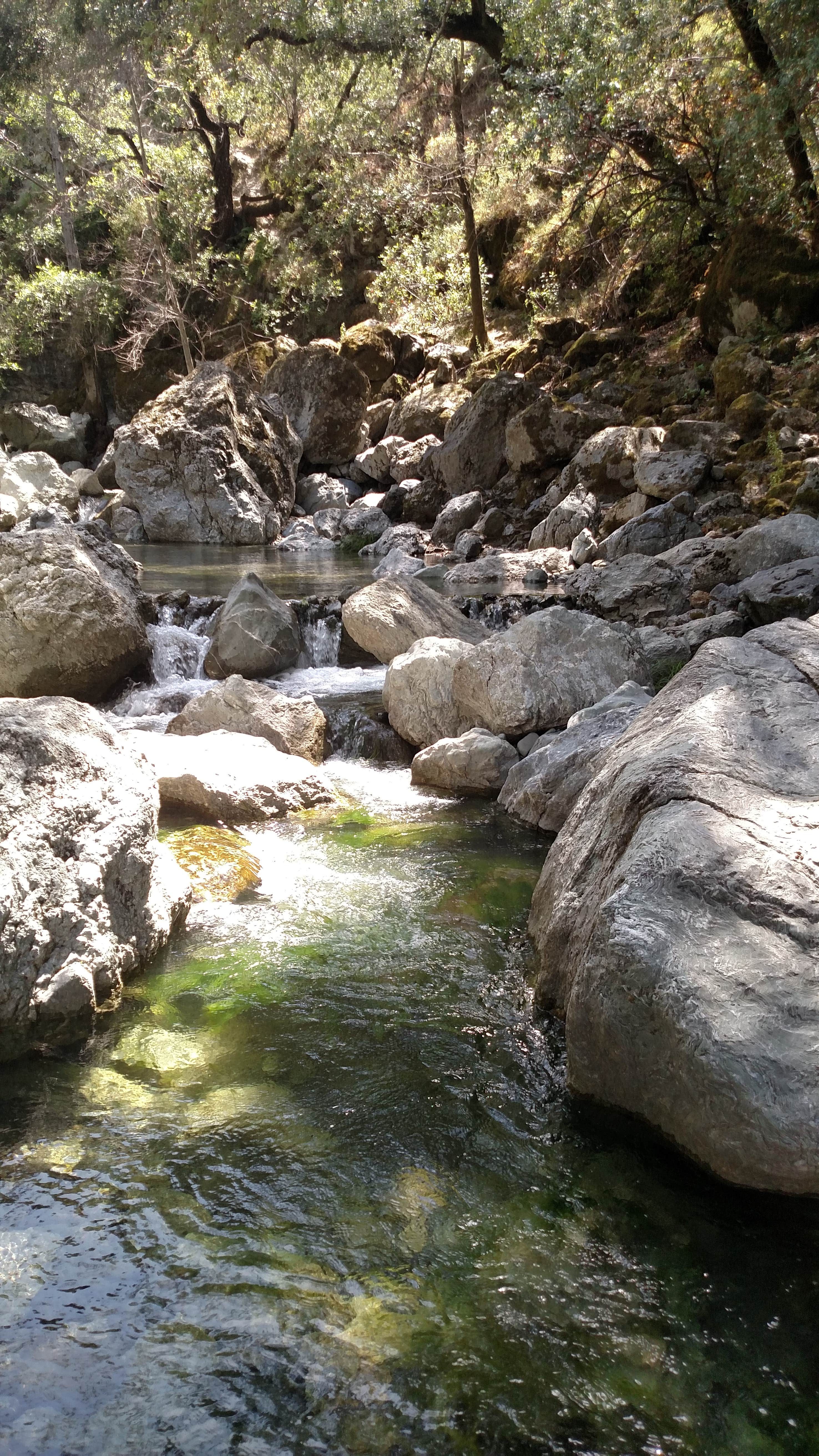 Camper submitted image from Sunol Regional Wilderness - 3