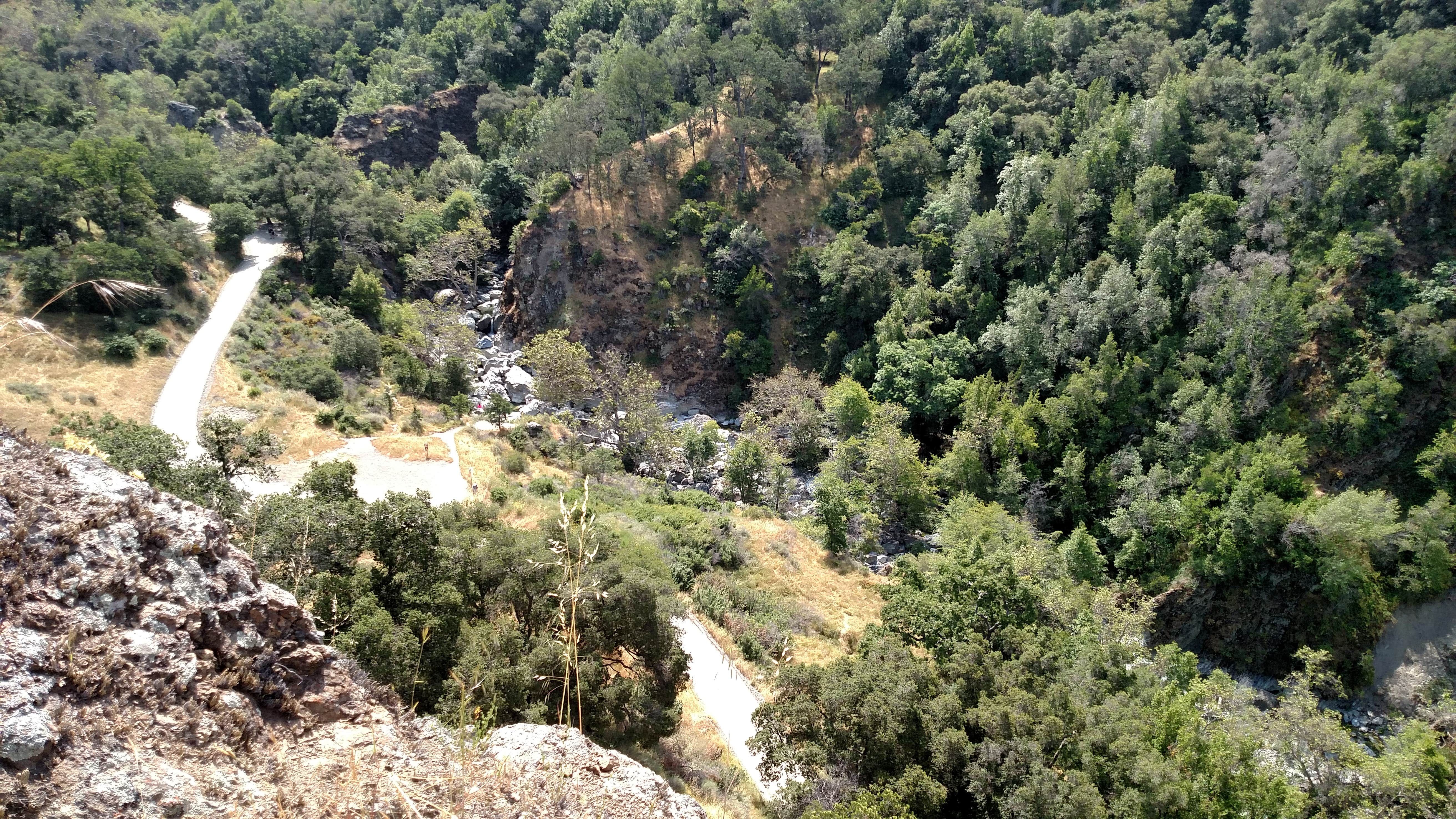 Camper submitted image from Sunol Regional Wilderness - 2