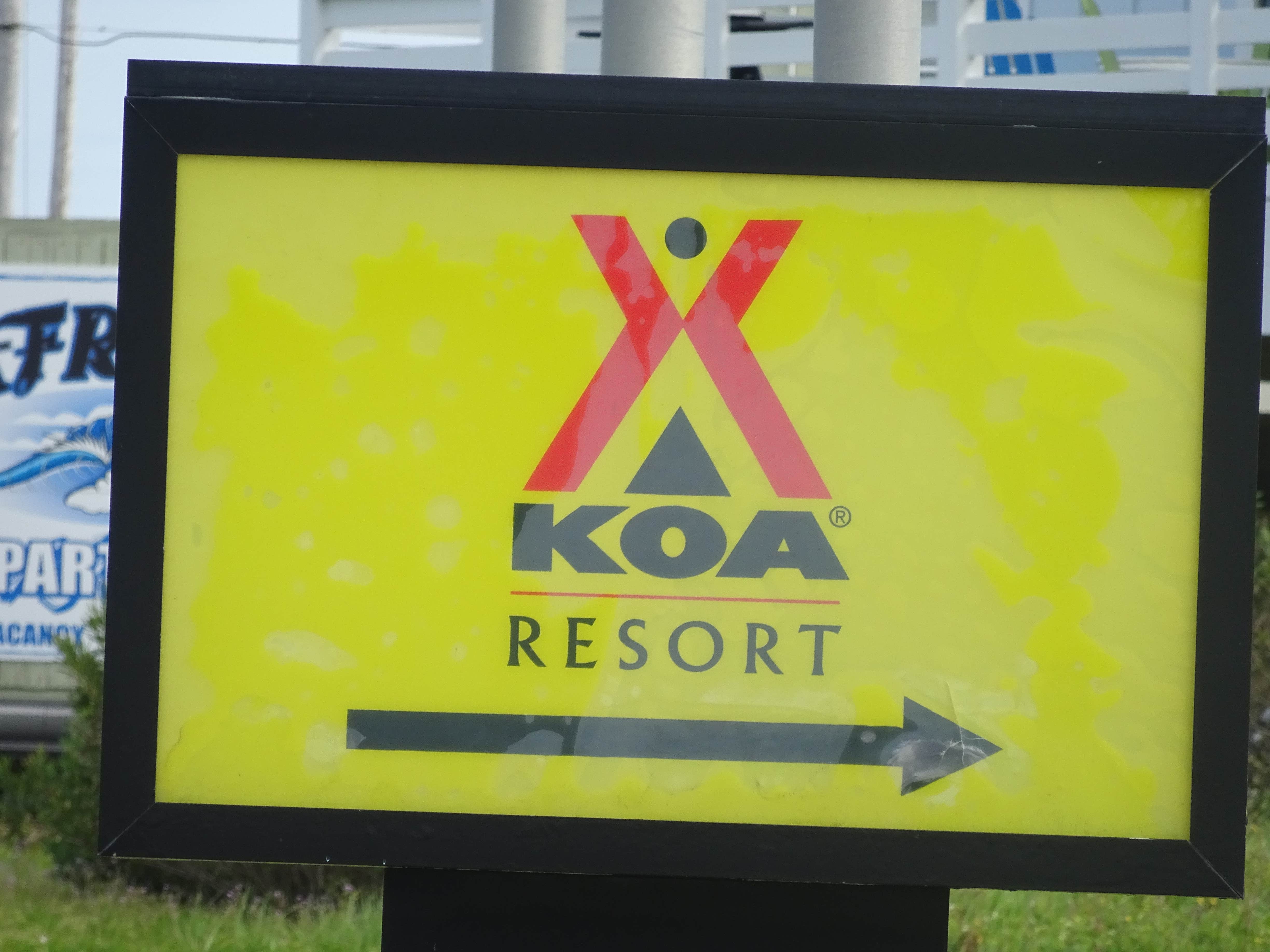 Camper submitted image from Cape Hatteras/Outer Banks KOA Resort - 5