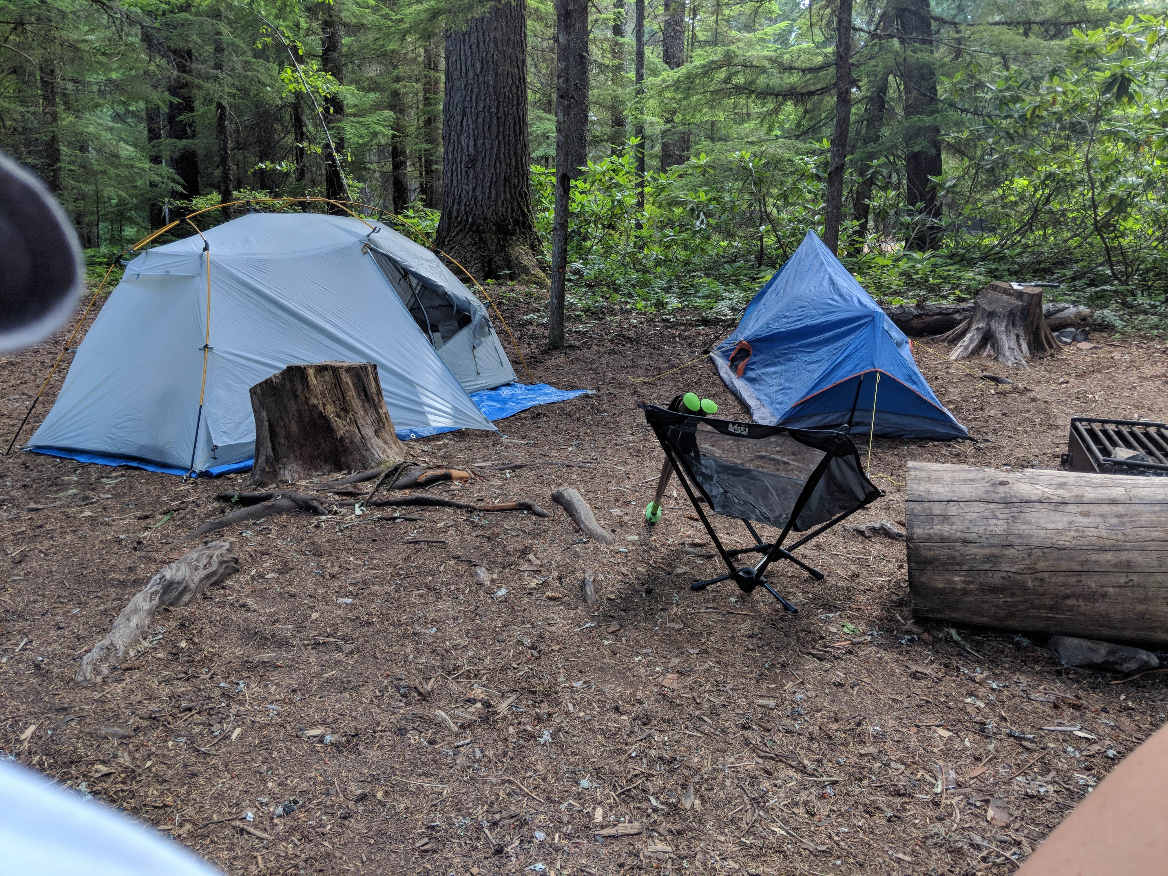 Erica K.'s photo at Little Crater Lake near Mt. Hood National Forest