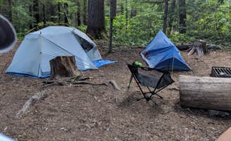 Erica K.'s photo at Little Crater Lake near Mt. Hood National Forest