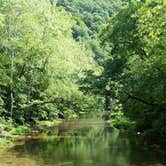 Review photo of Monongahela National Forest Blue Bend Campground by Missy C., September 5, 2016