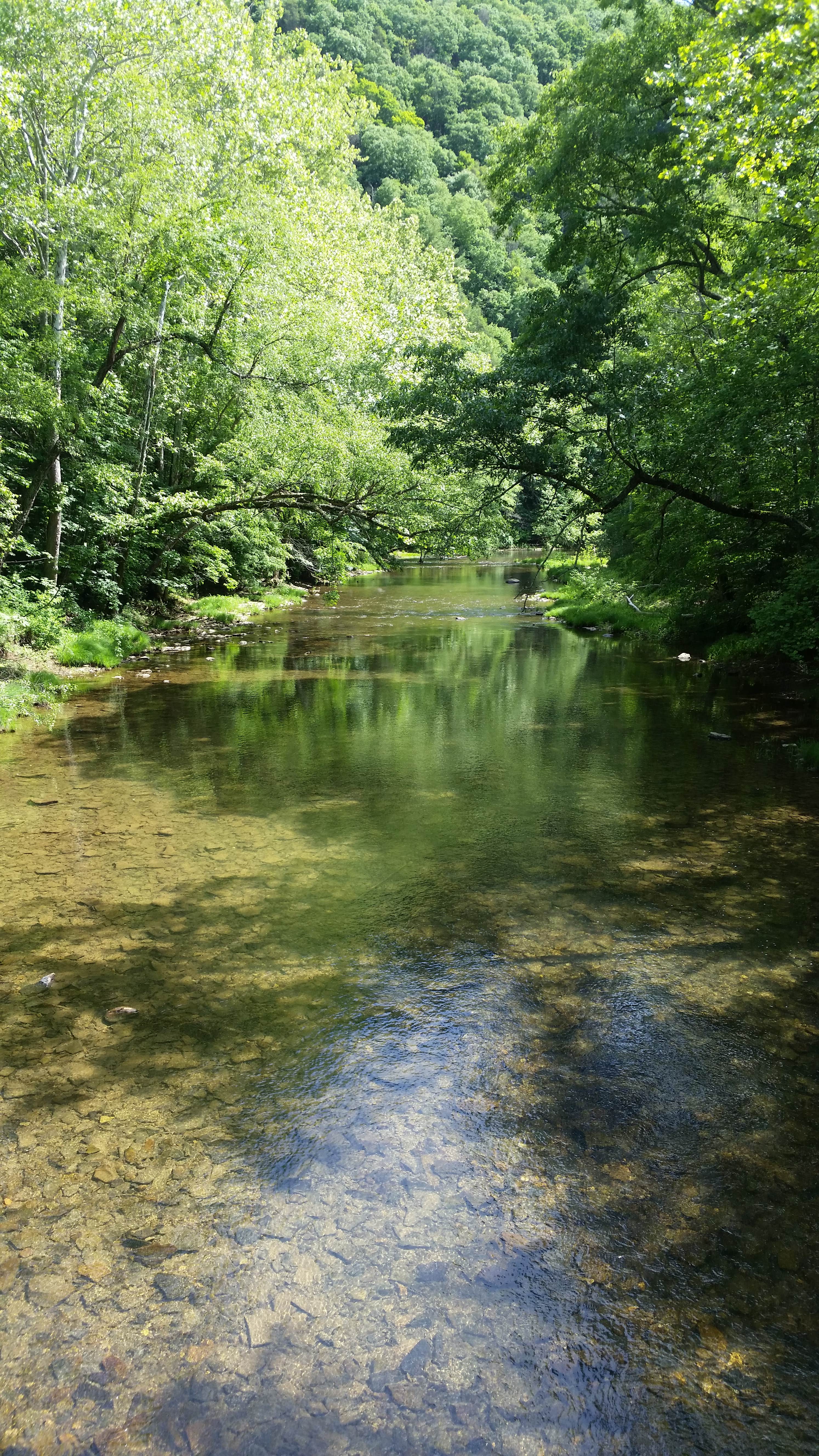 Camper submitted image from Monongahela National Forest Blue Bend Campground - 2