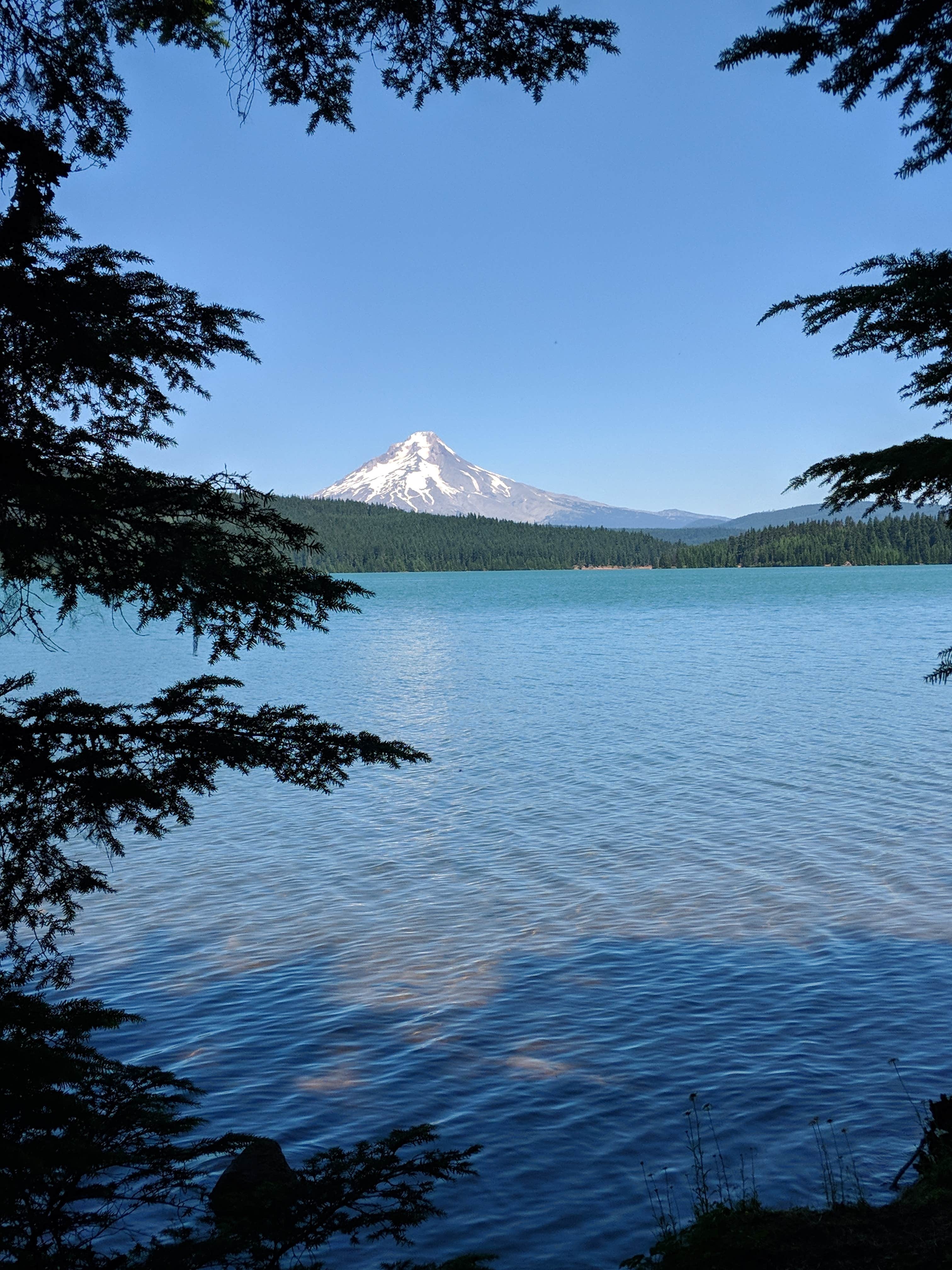 View All