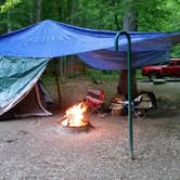 Review photo of Monongahela National Forest Blue Bend Campground by Missy C., September 5, 2016