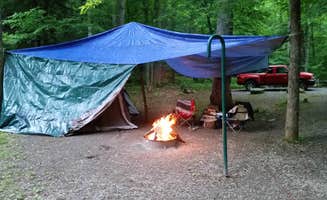 Missy C.'s photo at Monongahela National Forest Blue Bend Campground near Hillsboro, WV
