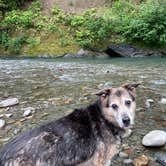 Review photo of Van Duzen County Park - Pamplin Grove by Annie M., June 28, 2019