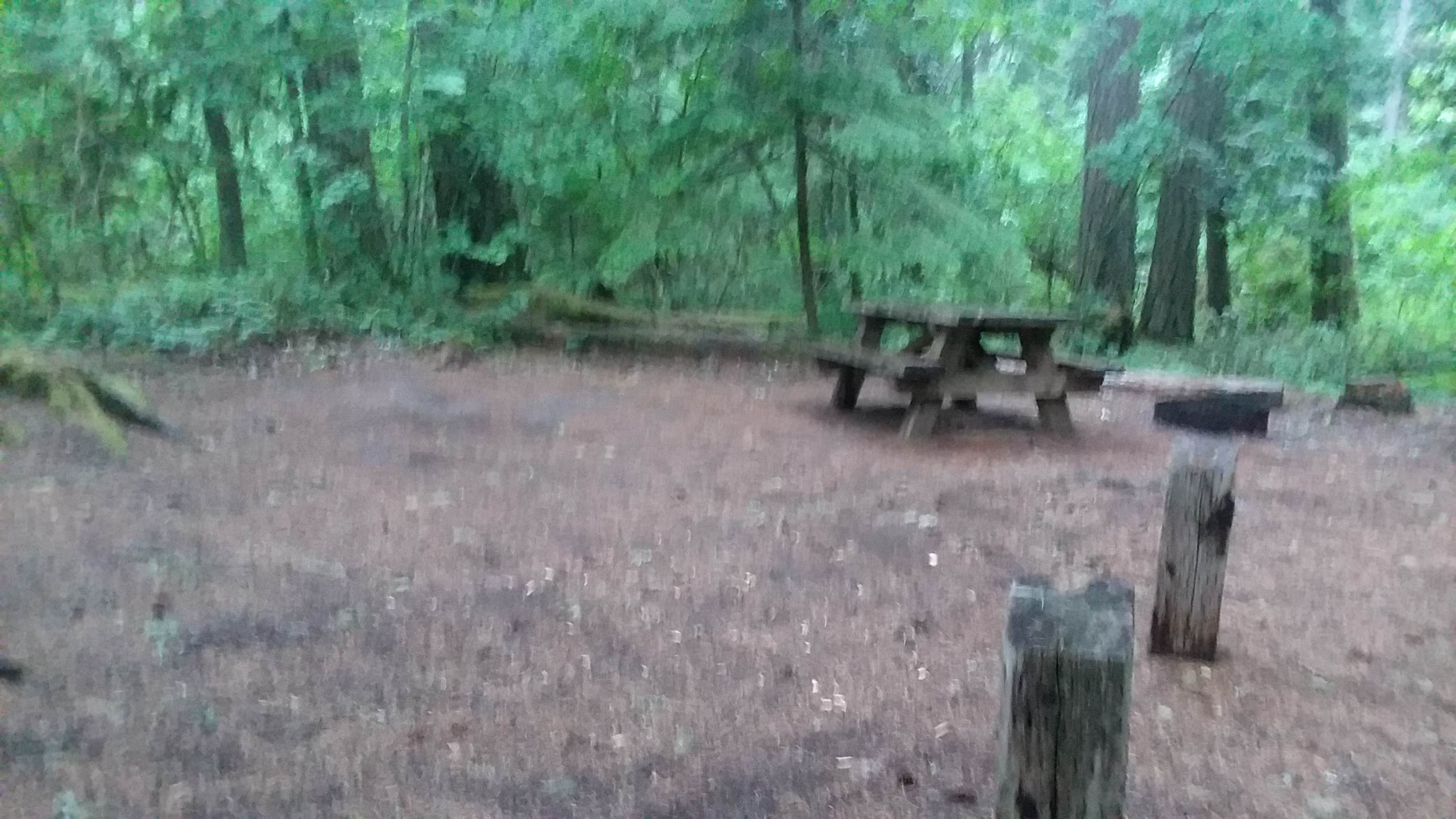 Camper submitted image from Moss Creek Campground - 2