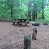 Review photo of Moss Creek Campground by Raquel C., June 28, 2019
