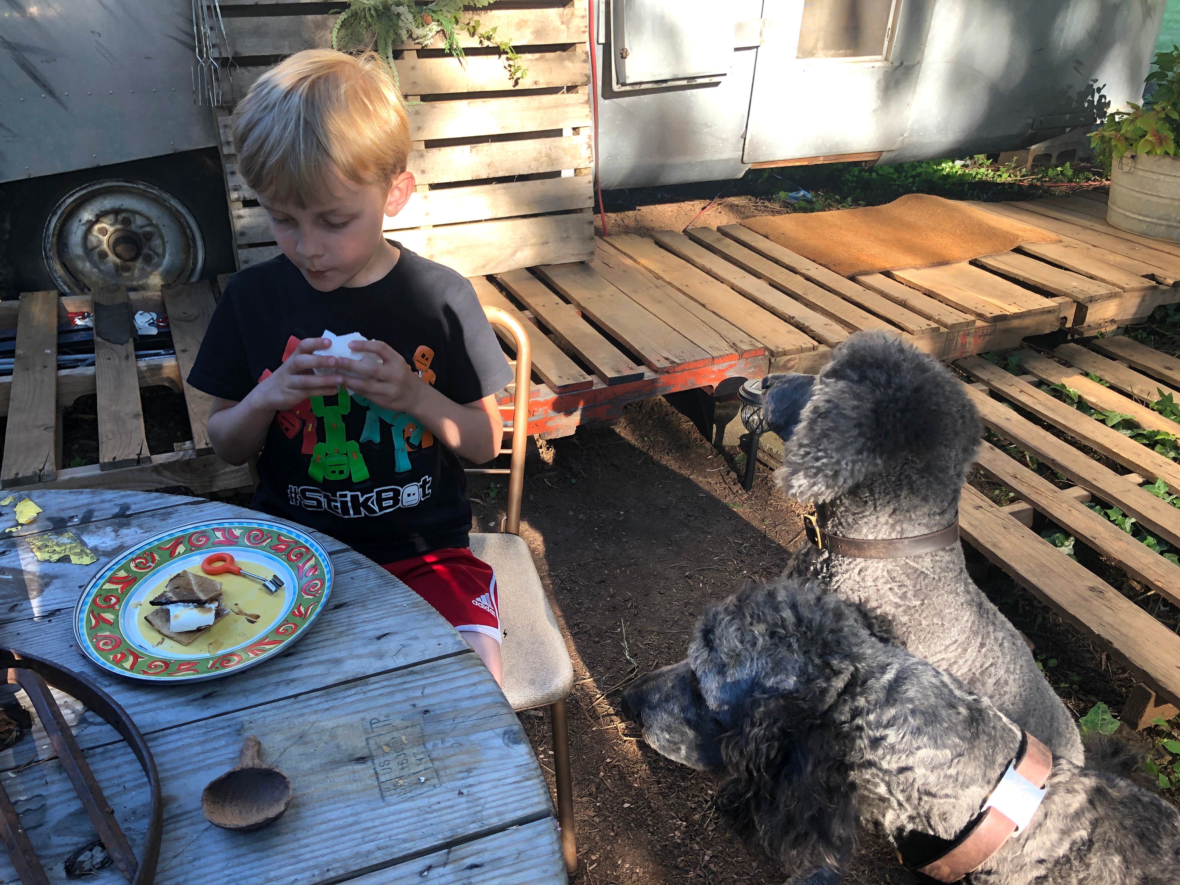 Corinna B.'s photo of camping with pets at Domke Farms At The Cozy Roller near Sandy, OR