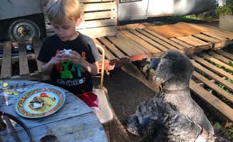 Corinna B.'s photo of camping with pets at Domke Farms At The Cozy Roller near Beaverton, OR