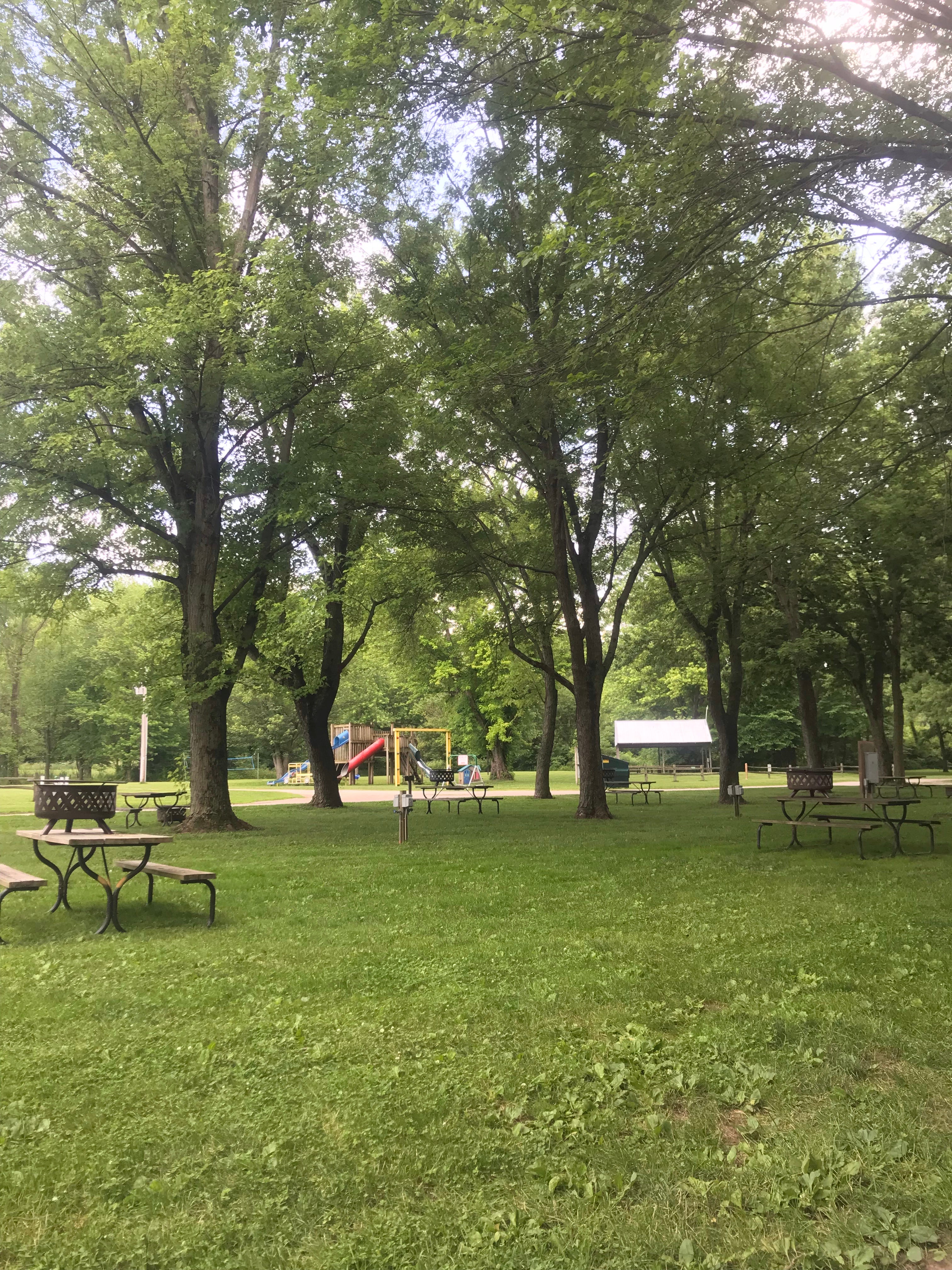 Camper submitted image from Wolfs Leisure Time Campground - 3