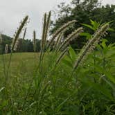 Review photo of Burr Oak State Park Campground by Shannon G., June 28, 2019