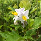 Review photo of Burr Oak State Park Campground by Shannon G., June 28, 2019