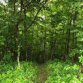 Review photo of Burr Oak State Park Campground by Shannon G., June 28, 2019