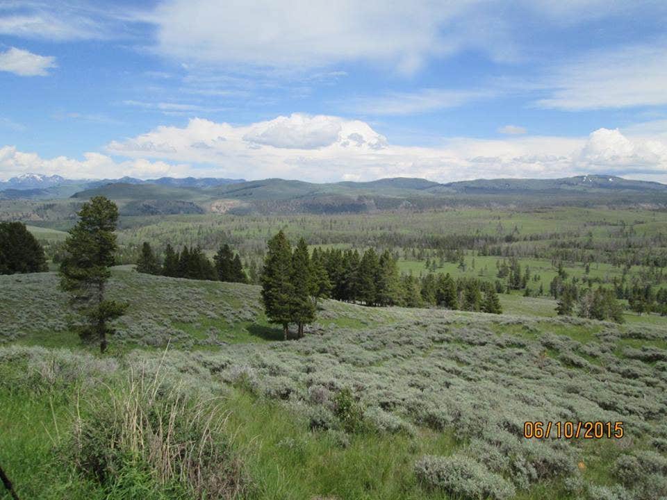 Camper submitted image from Signal Mountain Campground — Grand Teton National Park - 2