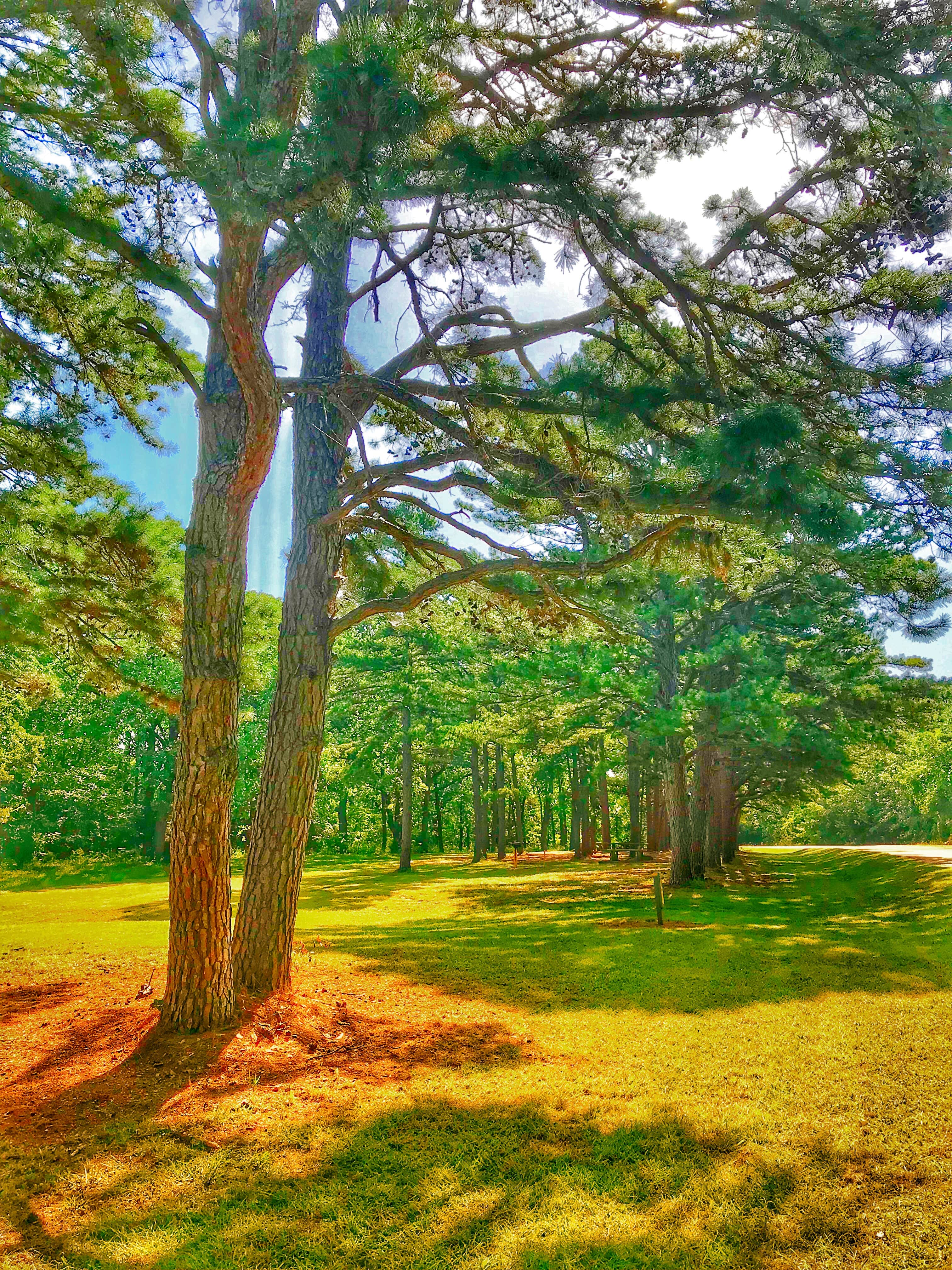 Camper-submitted photo at Lake Texoma RV Resort, LLC near Telephone, TX