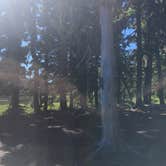 Review photo of Breitenbush Lake Campground-CLOSED by Evan B., September 5, 2016