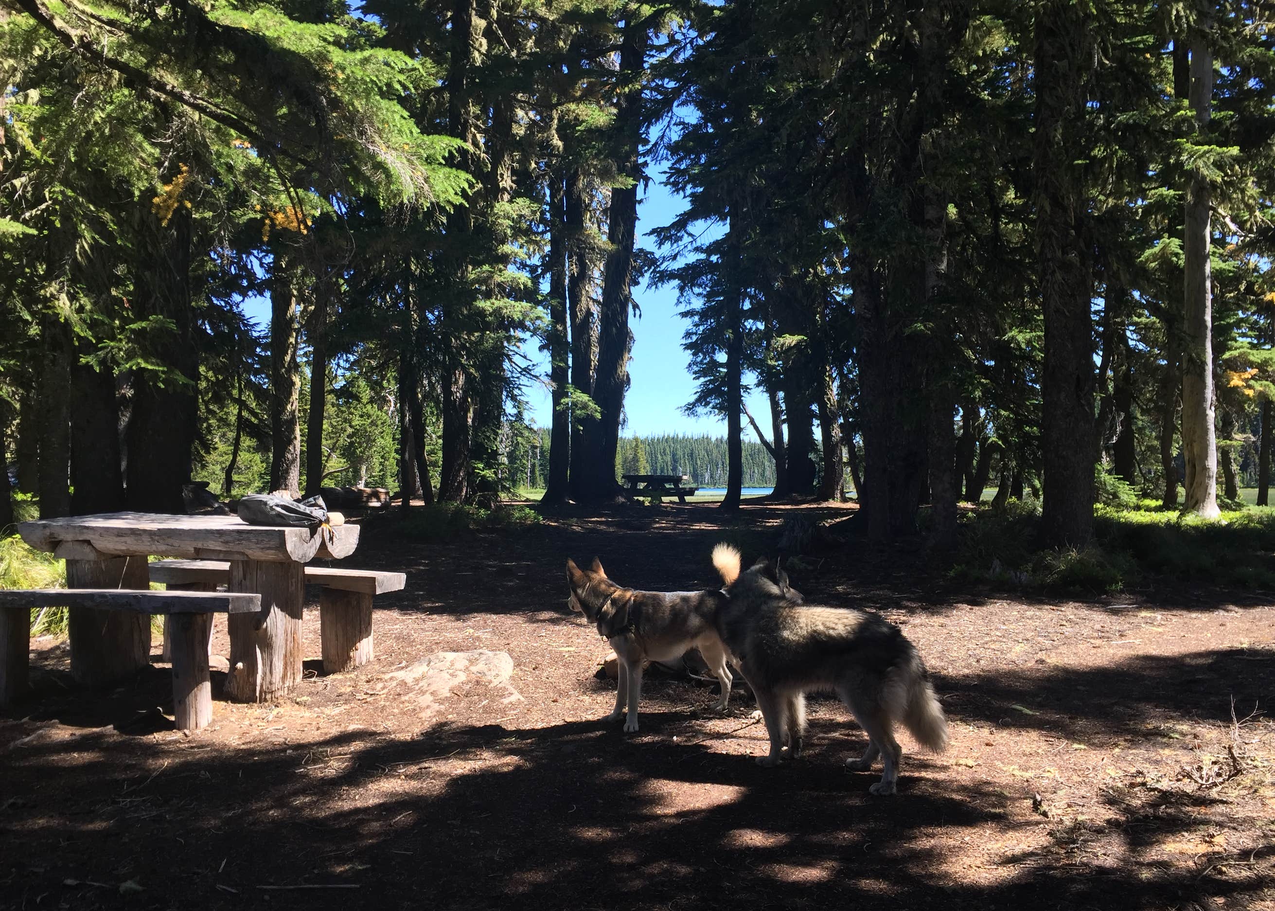 Breitenbush Lake CampgroundCLOSED Camping The Dyrt