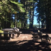 Review photo of Breitenbush Lake Campground-CLOSED by Evan B., September 5, 2016