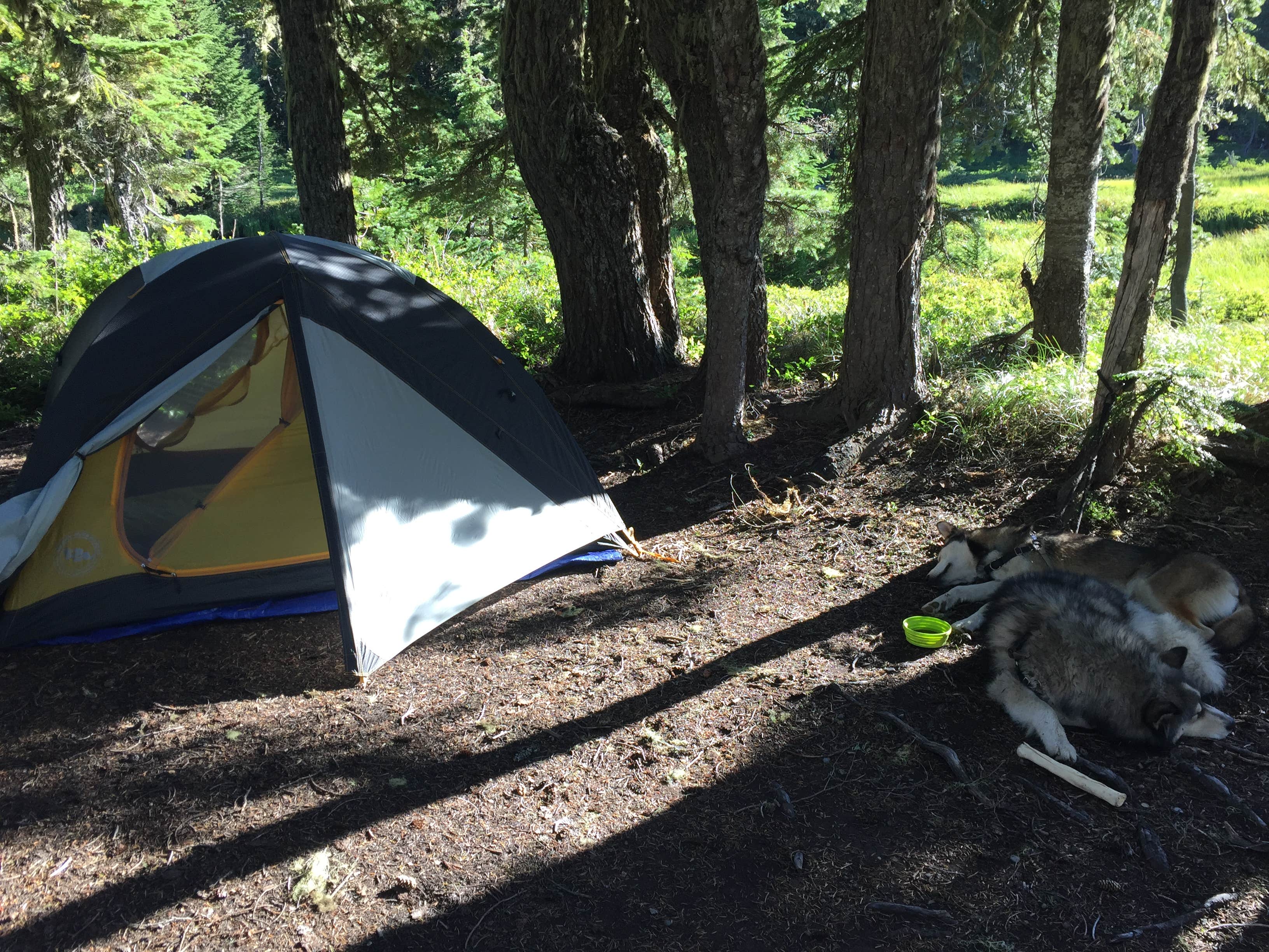 Evan B.'s photo of tent camping at Breitenbush Lake Campground-CLOSED near Cloverdale, OR