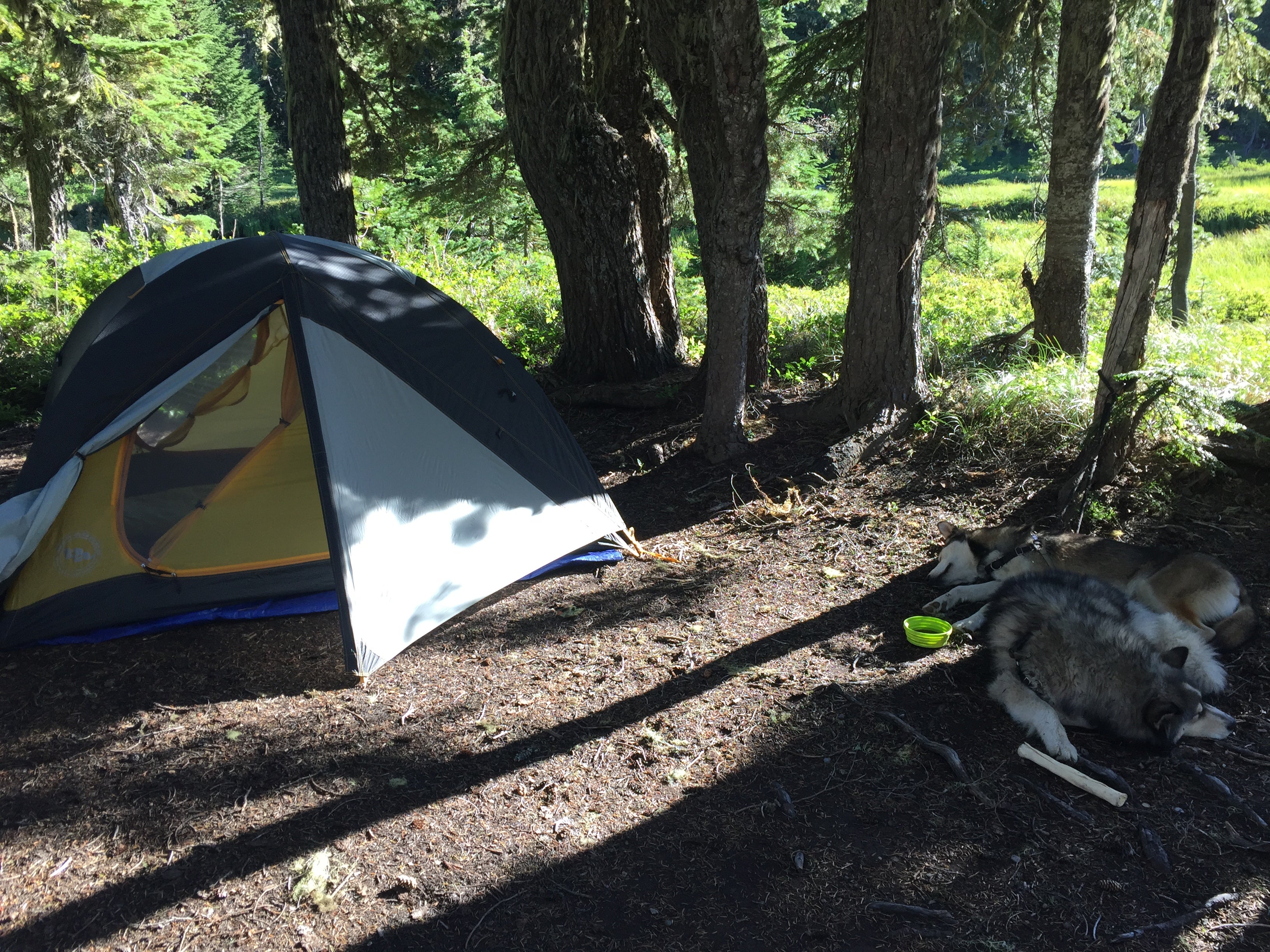 Our campsite.