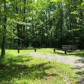 Review photo of Spruce Knob Lake Campground by Tim M., June 28, 2019