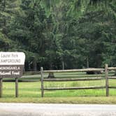 Review photo of Laurel Fork Campground by Tim M., June 28, 2019