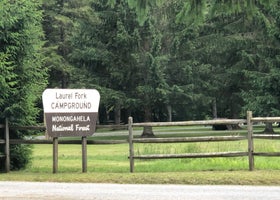 Laurel Fork Campground