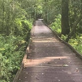 Review photo of Reed Bingham State Park Campground by Kara’s  C., June 28, 2019