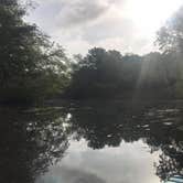 Review photo of Reed Bingham State Park Campground by Kara’s  C., June 28, 2019