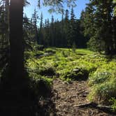 Review photo of Breitenbush Lake Campground-CLOSED by Evan B., September 5, 2016