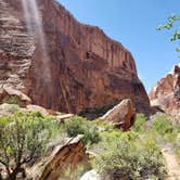 Review photo of Robbers Roost Primitive Campsite by FREDRICK C., June 28, 2019