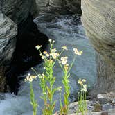 Review photo of Linville Falls Campground — Blue Ridge Parkway by Linda B., June 28, 2019