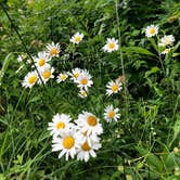 Review photo of Heartstone Campground by Mandy F., June 28, 2019