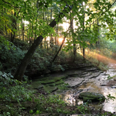 Review photo of Heartstone Campground by Mandy F., June 28, 2019