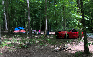 Mandy F.'s photo at Heartstone Campground near Summertown, TN