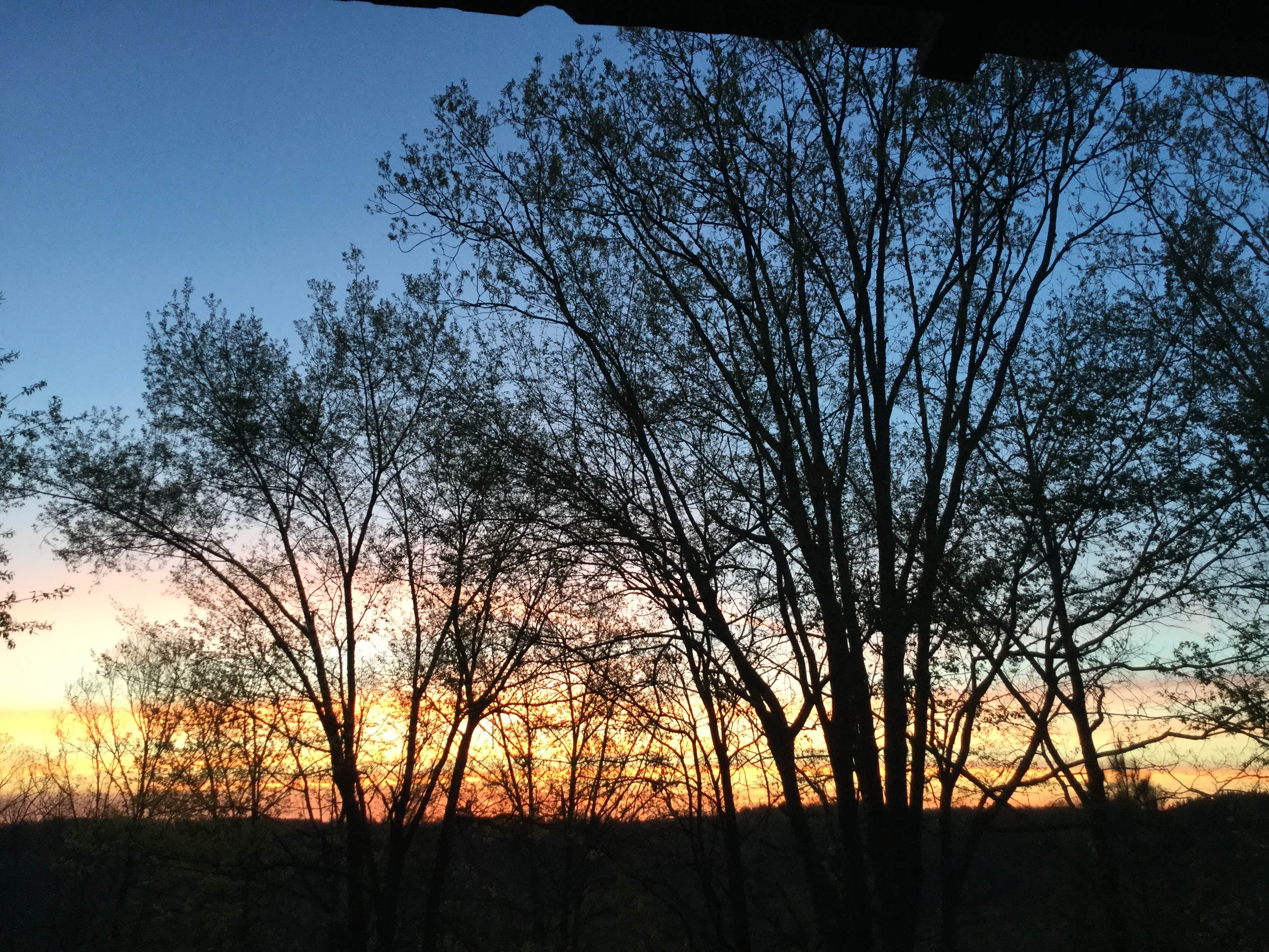 Camper-submitted photo at Heartstone Campground near Natchez Trace Parkway