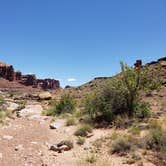 Review photo of Fivehole Arch TH by FREDRICK C., June 28, 2019