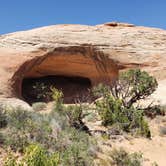 Review photo of Fivehole Arch TH by FREDRICK C., June 28, 2019