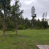 Review photo of Bridge Bay Campground — Yellowstone National Park by Chris S., June 28, 2019