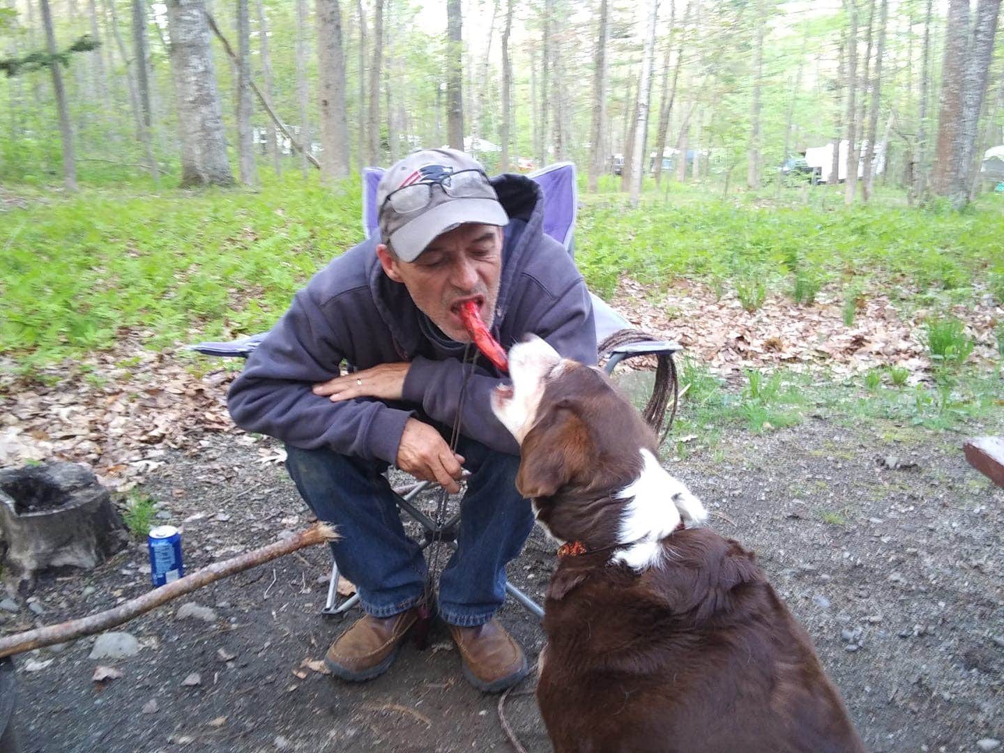 Nancy P.'s photo of camping with pets at Camden Hills State Park Campground near Owls Head, ME