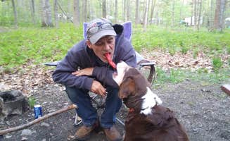 Nancy P.'s photo of camping with pets at Camden Hills State Park Campground near Owls Head, ME
