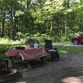 Review photo of Oak Ridge Morgan-Monroe State Forest by Ginger T., June 28, 2019