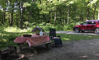 Ginger T.'s photo at Oak Ridge Camping Area — Morgan-Monroe State Forest near Gosport, IN